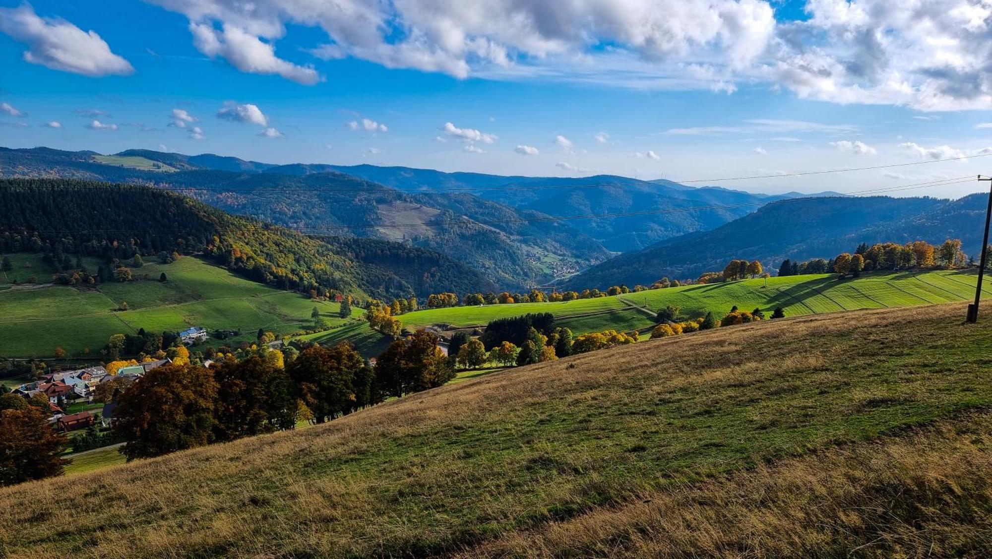 "Schwarzwaldblick" Ferienwohnung 2-4 Pers 65Qm, Schoene Ruhige Suedhanglage Mit Herrl Aussicht Todtnau Exterior foto